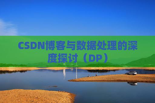 CSDN博客与数据处理的深度探讨（DP）